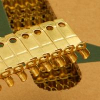 Pata de clavija larga polarizada